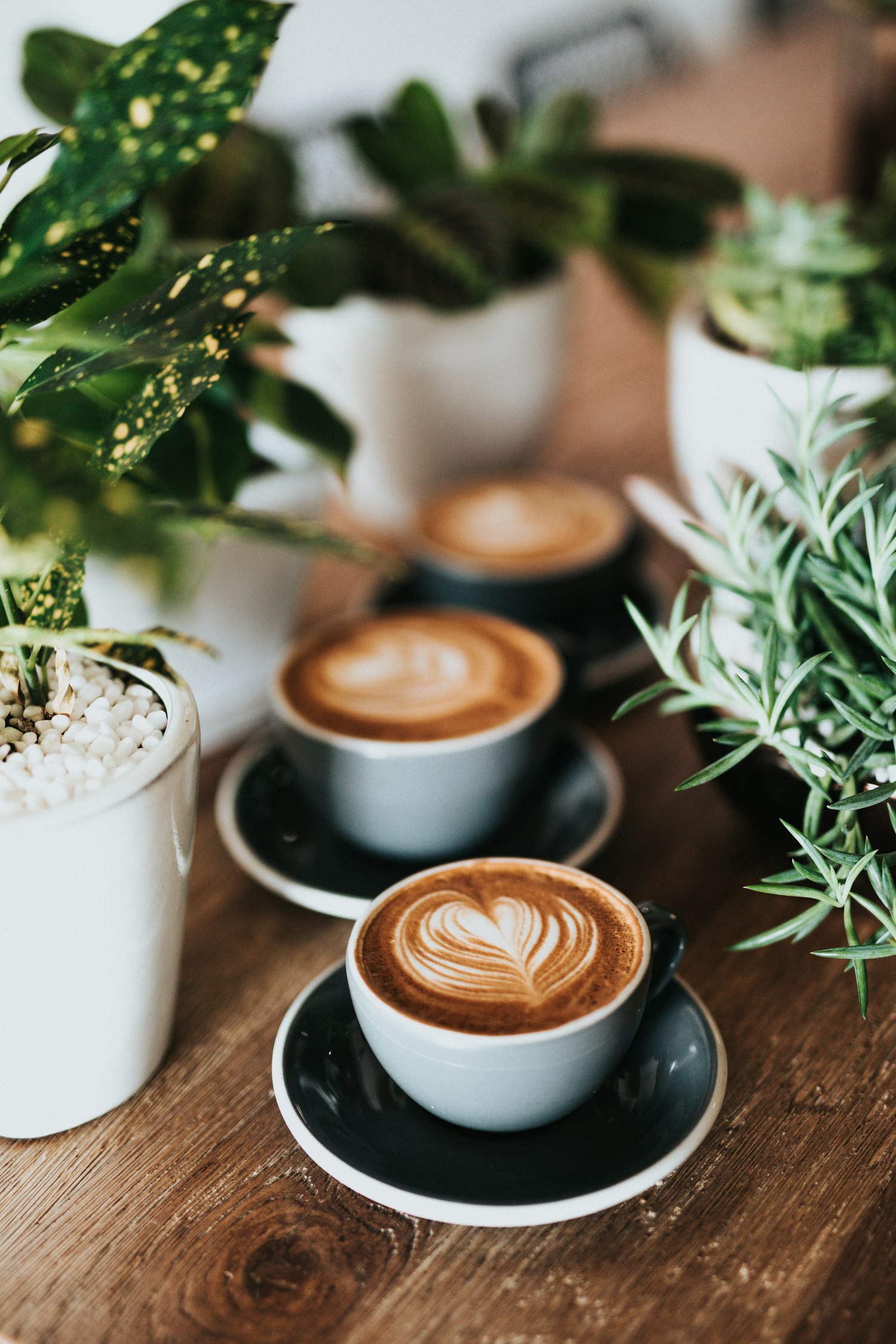 Cappuccino's met latte art tussen groene planten