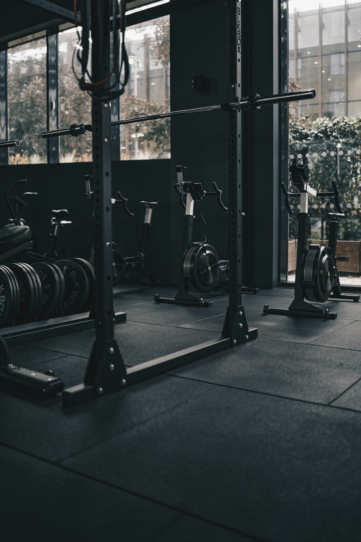 Vrije gewichten en halters in de fitnessclub